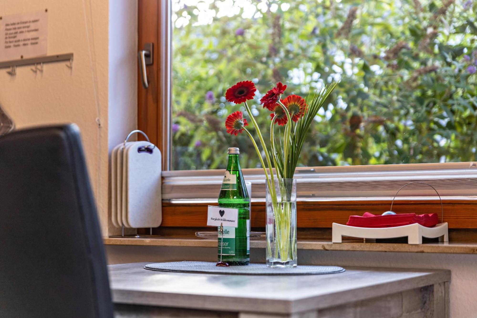 An Der Schwaebischen Alb Apartment Mössingen Екстериор снимка
