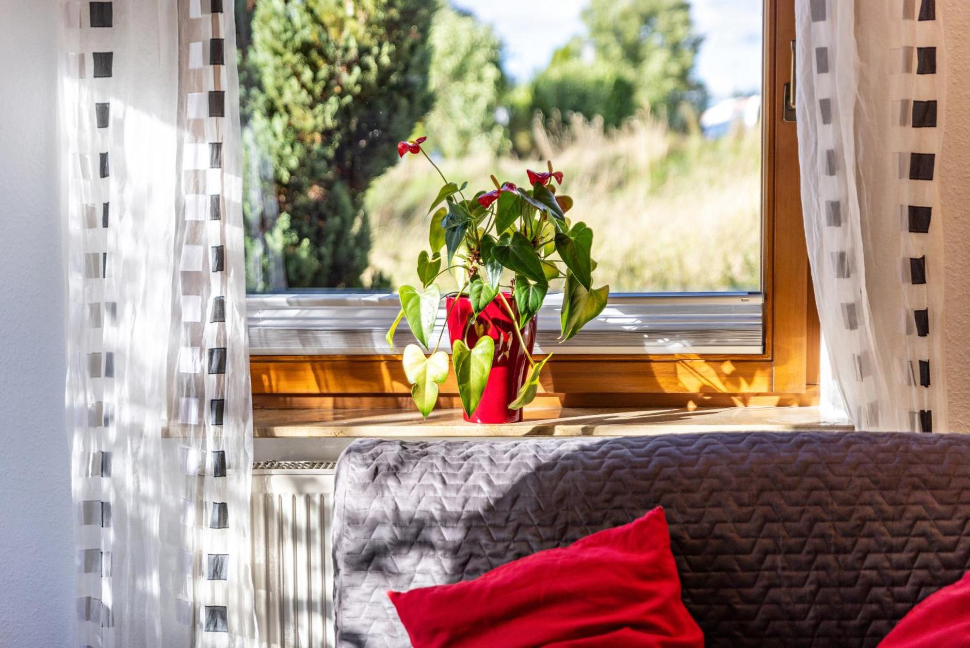 An Der Schwaebischen Alb Apartment Mössingen Екстериор снимка